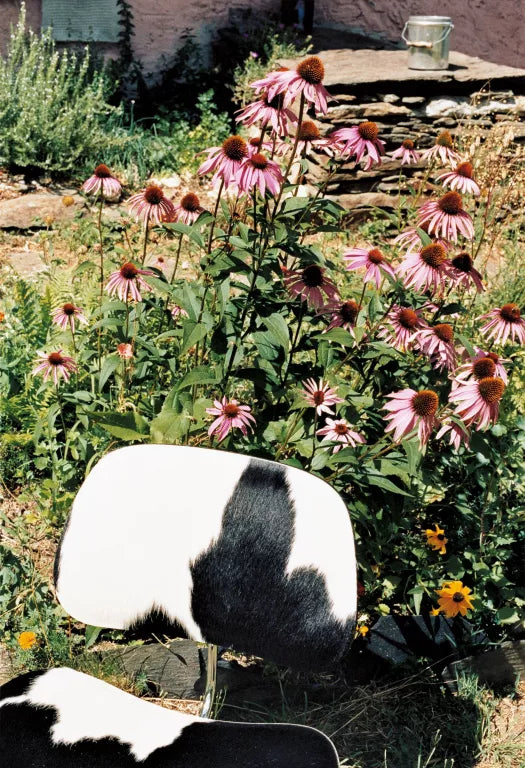 Vitra Eames LCM fauteuil