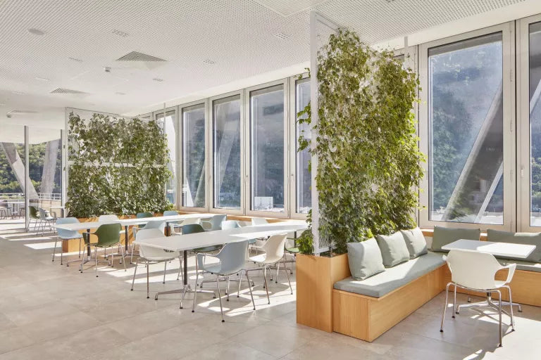 Vitra HAL RE armchair verchroomd onderstel