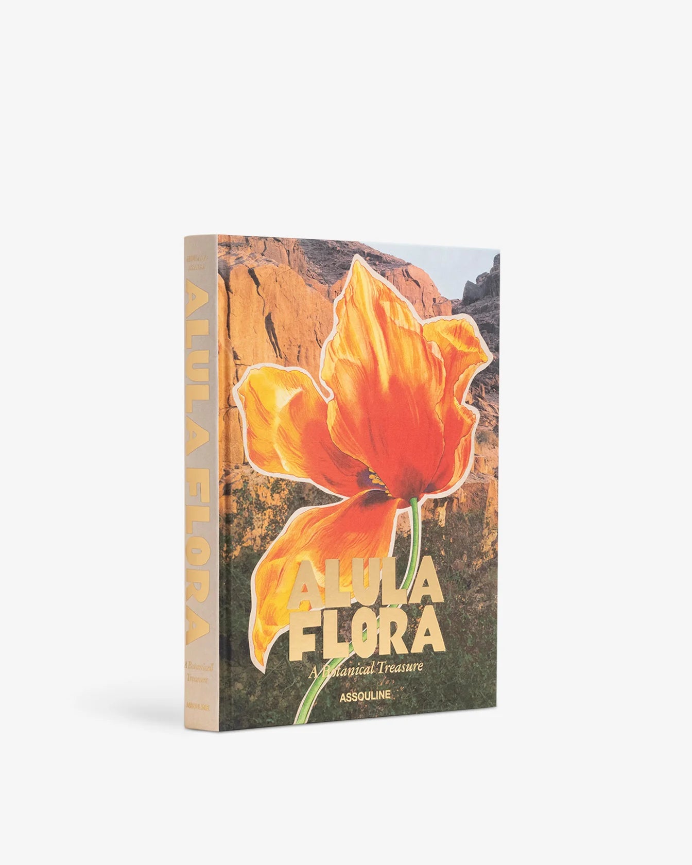 ASSOULINE AlUla Flora