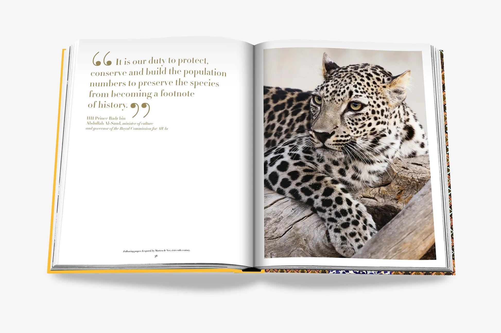 ASSOULINE Arabisk Leopard