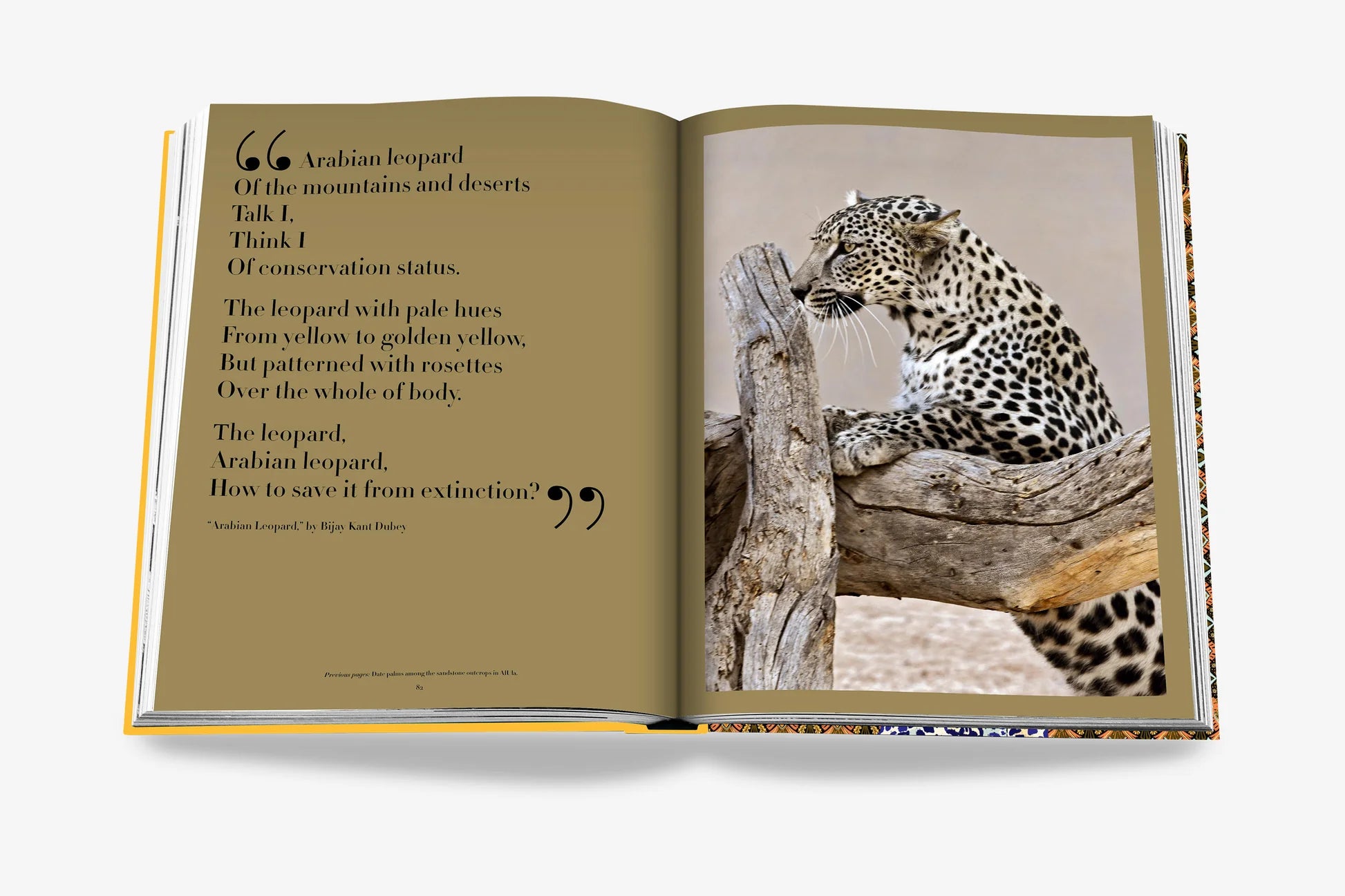 ASSOULINE Arabisk Leopard