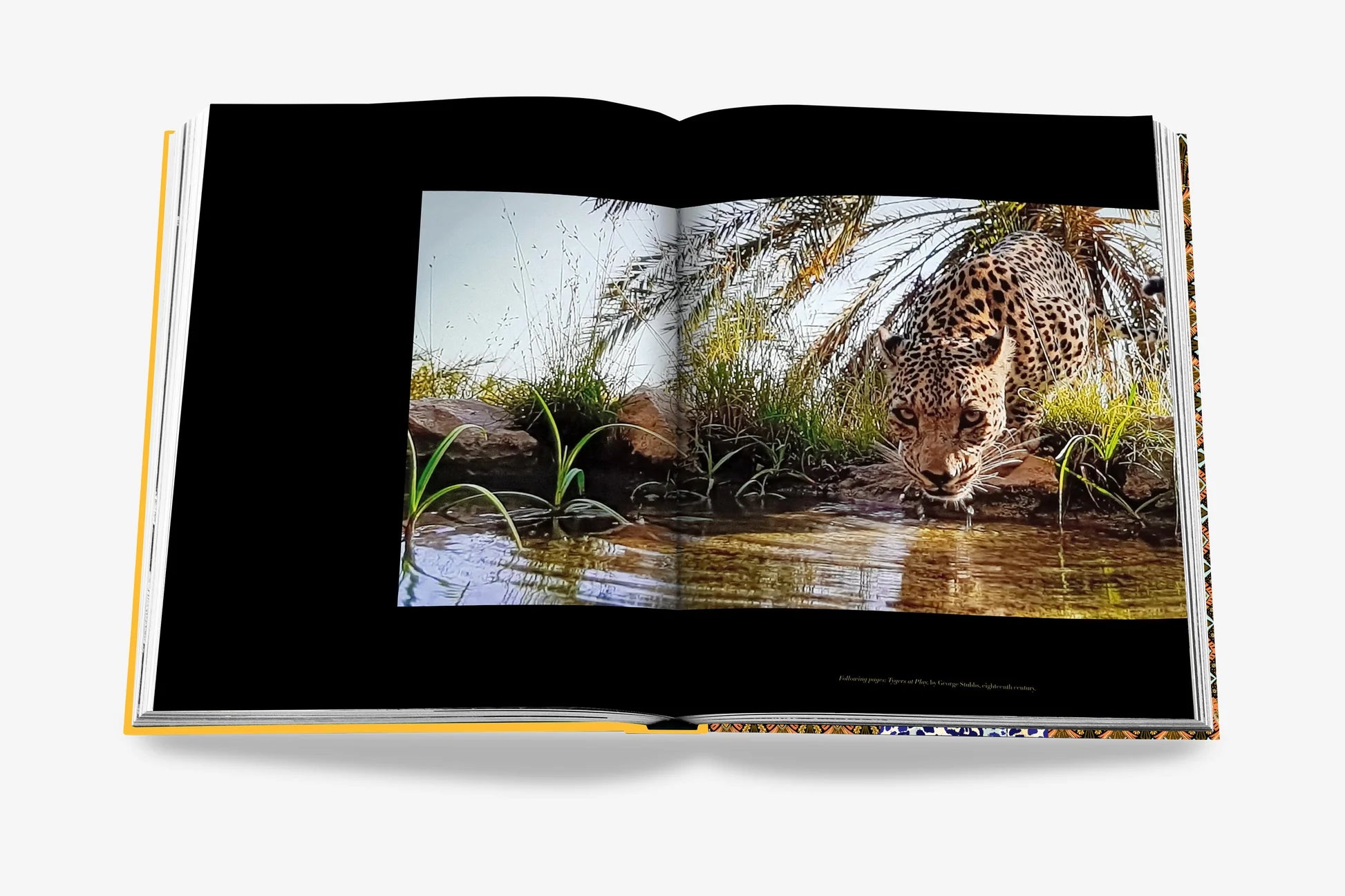 ASSOULINE Arabisk Leopard