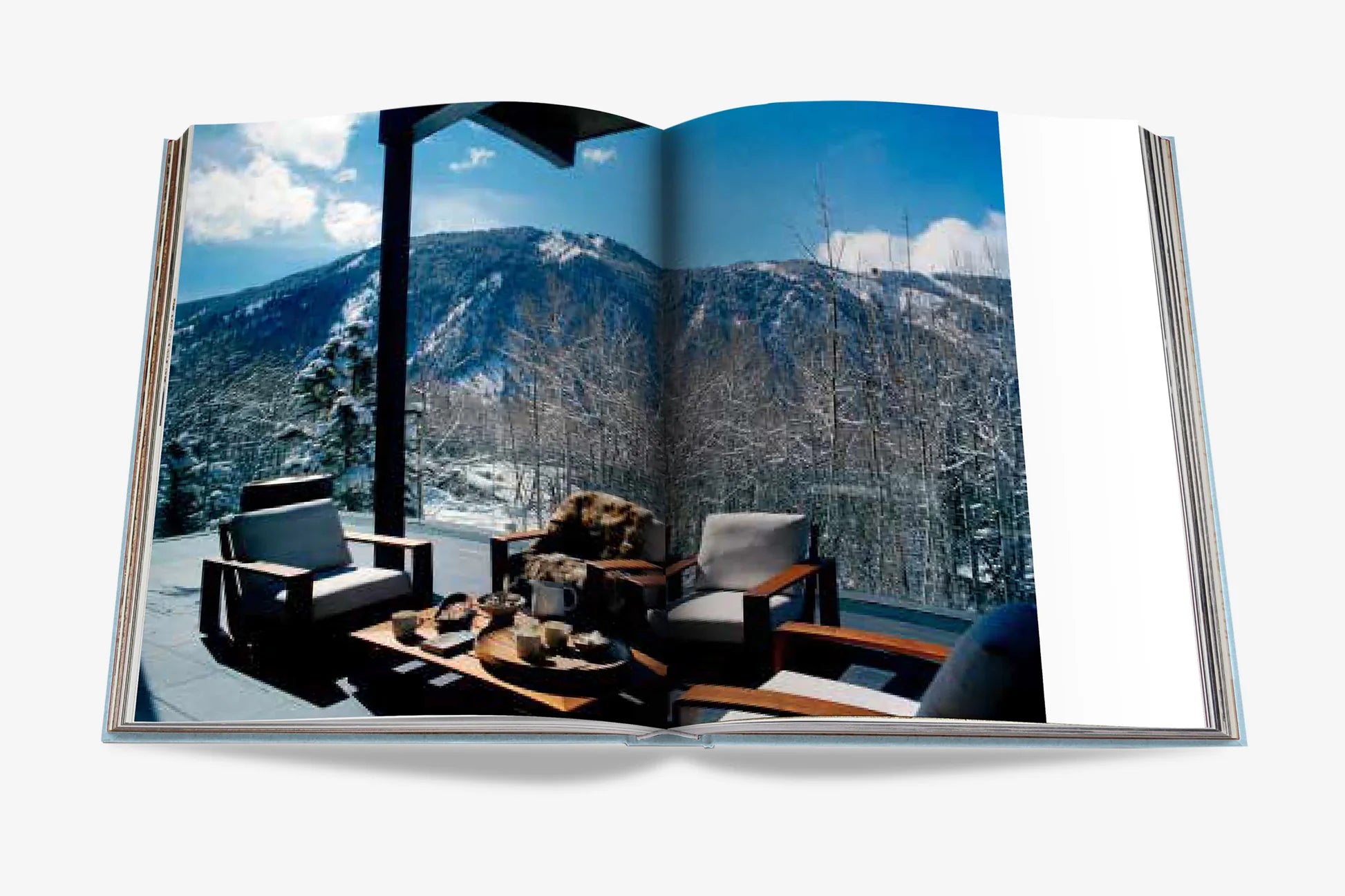 ASSOULINE Aspen Style