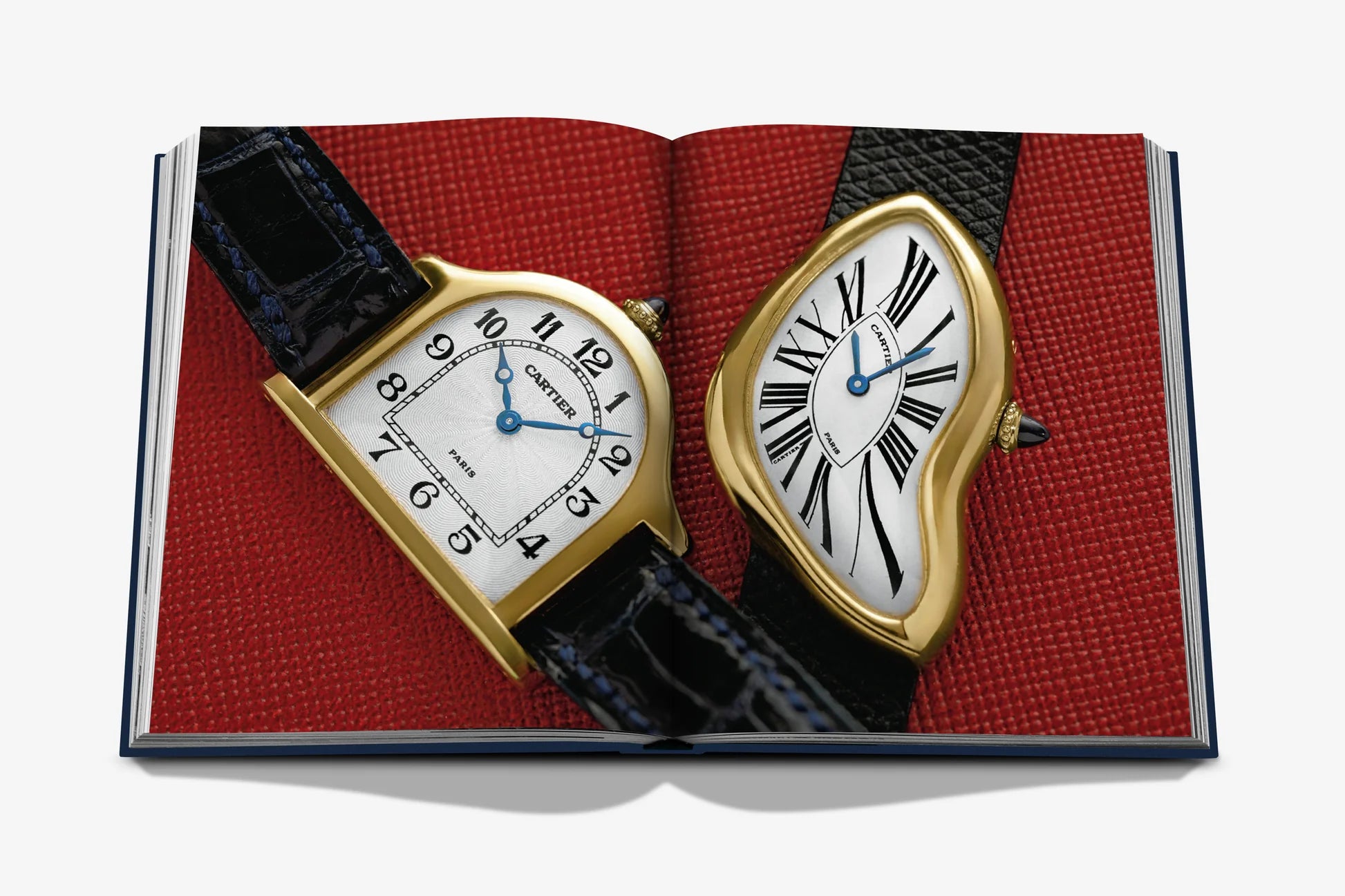 ASSOULINE The Connoisseur's Guide to Fine Timepieces: European Watch Company