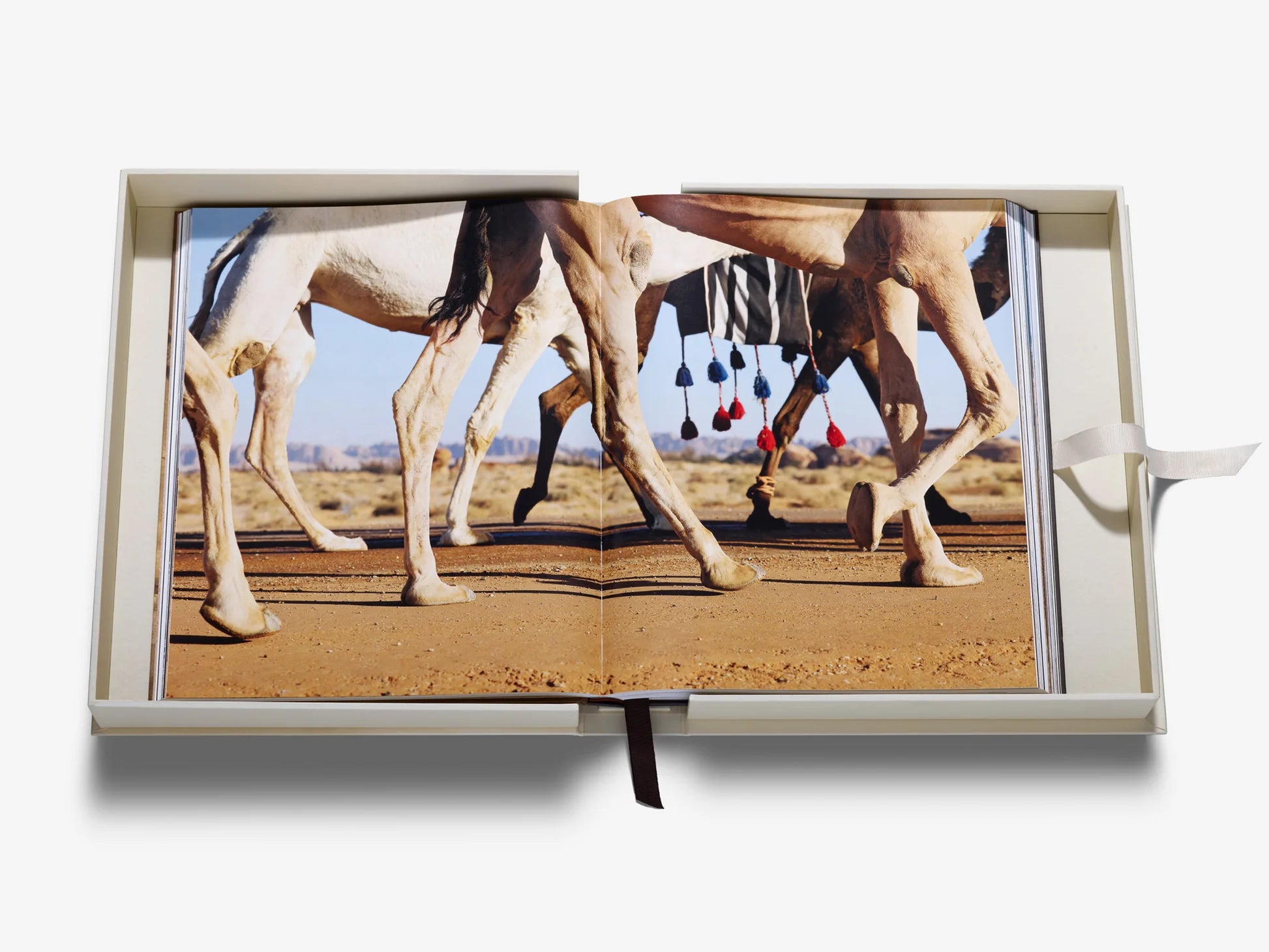 ASSOULINE Grace in the Desert: The Beauty of Saudi Arabia's Camels