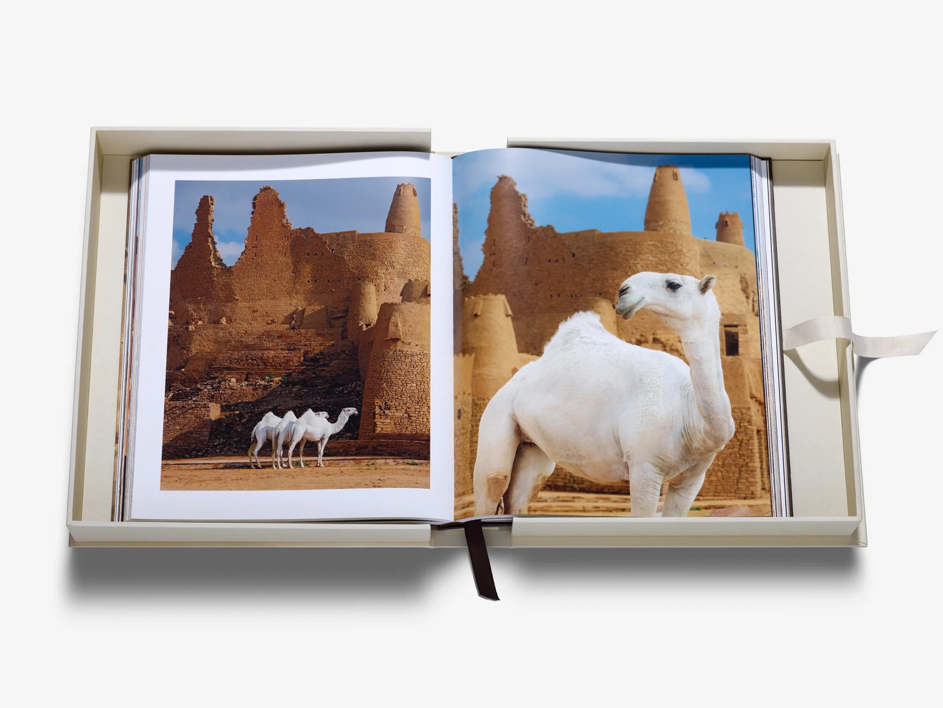 ASSOULINE Grace in the Desert: The Beauty of Saudi Arabia's Camels