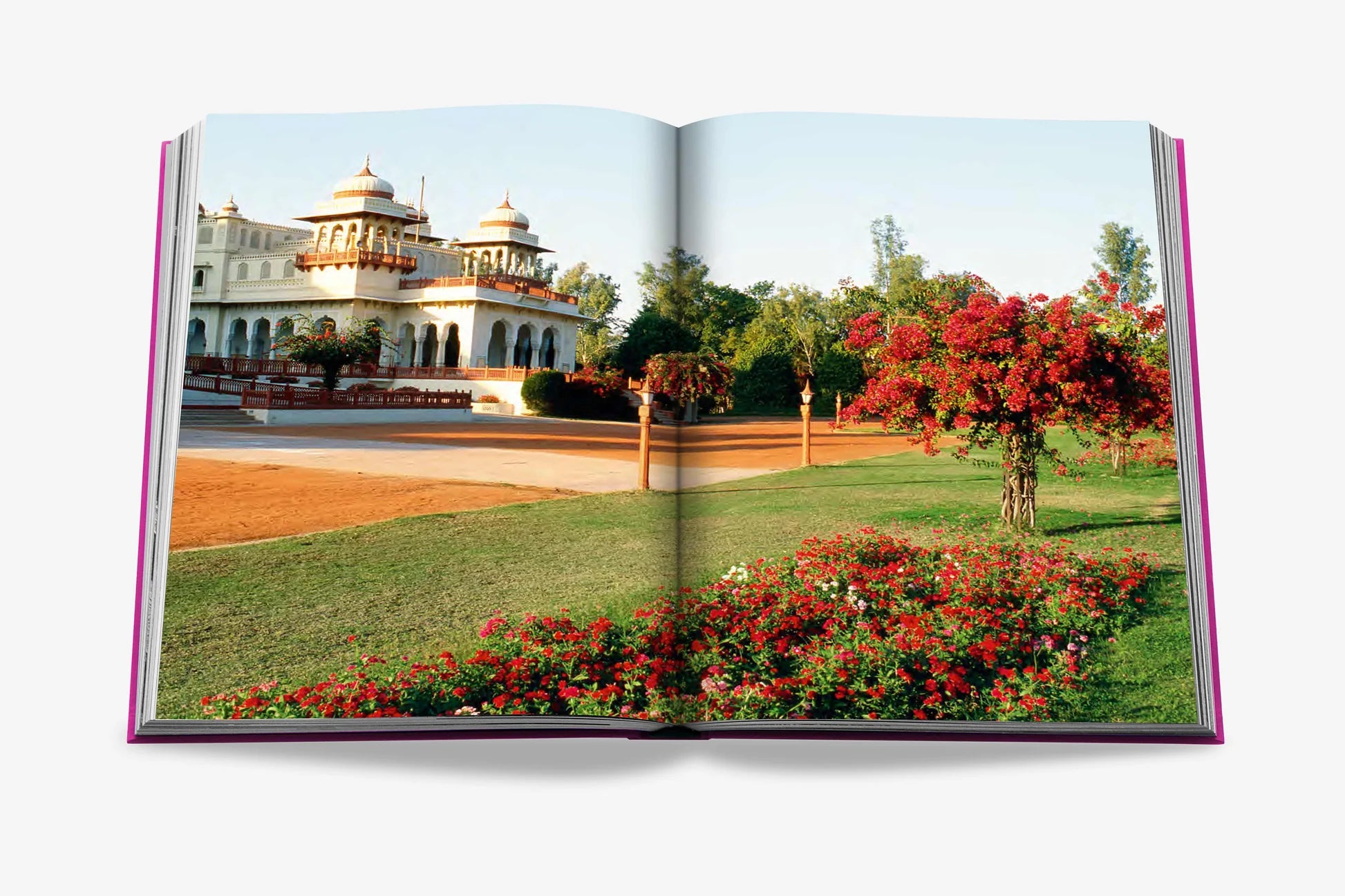 ASSOULINE Jaipur Splendor