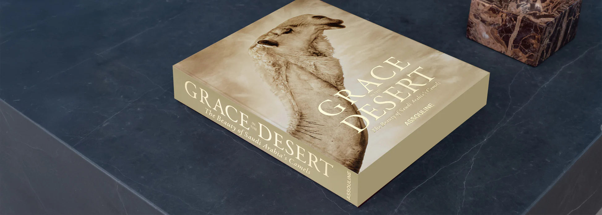 ASSOULINE Grace in the Desert: The Beauty of Saudi Arabia's Camels