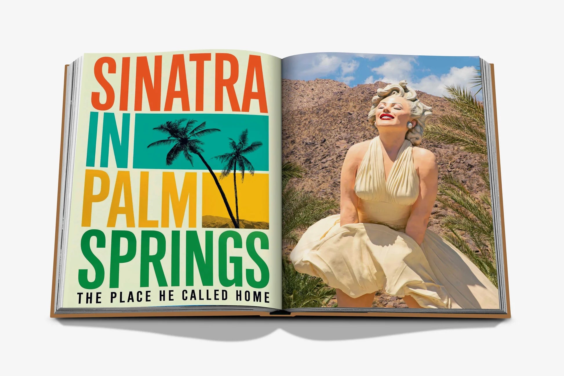 ASSOULINE Palm Springs