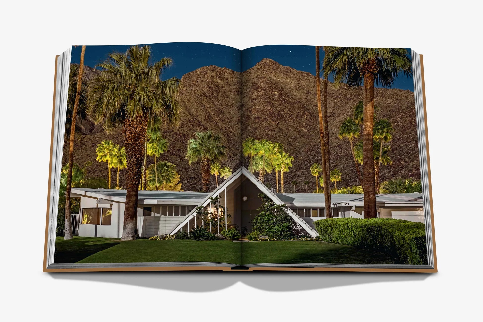 ASSOULINE Palm Springs