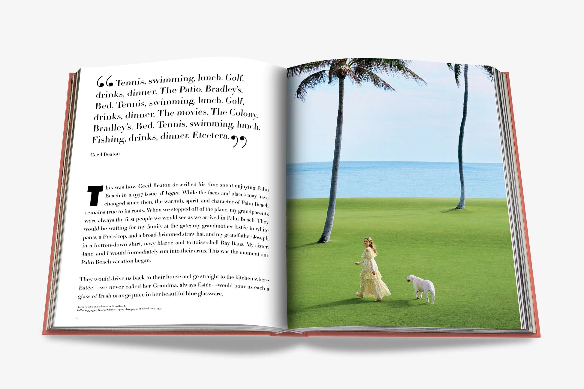 ASSOULINE Palm Beach