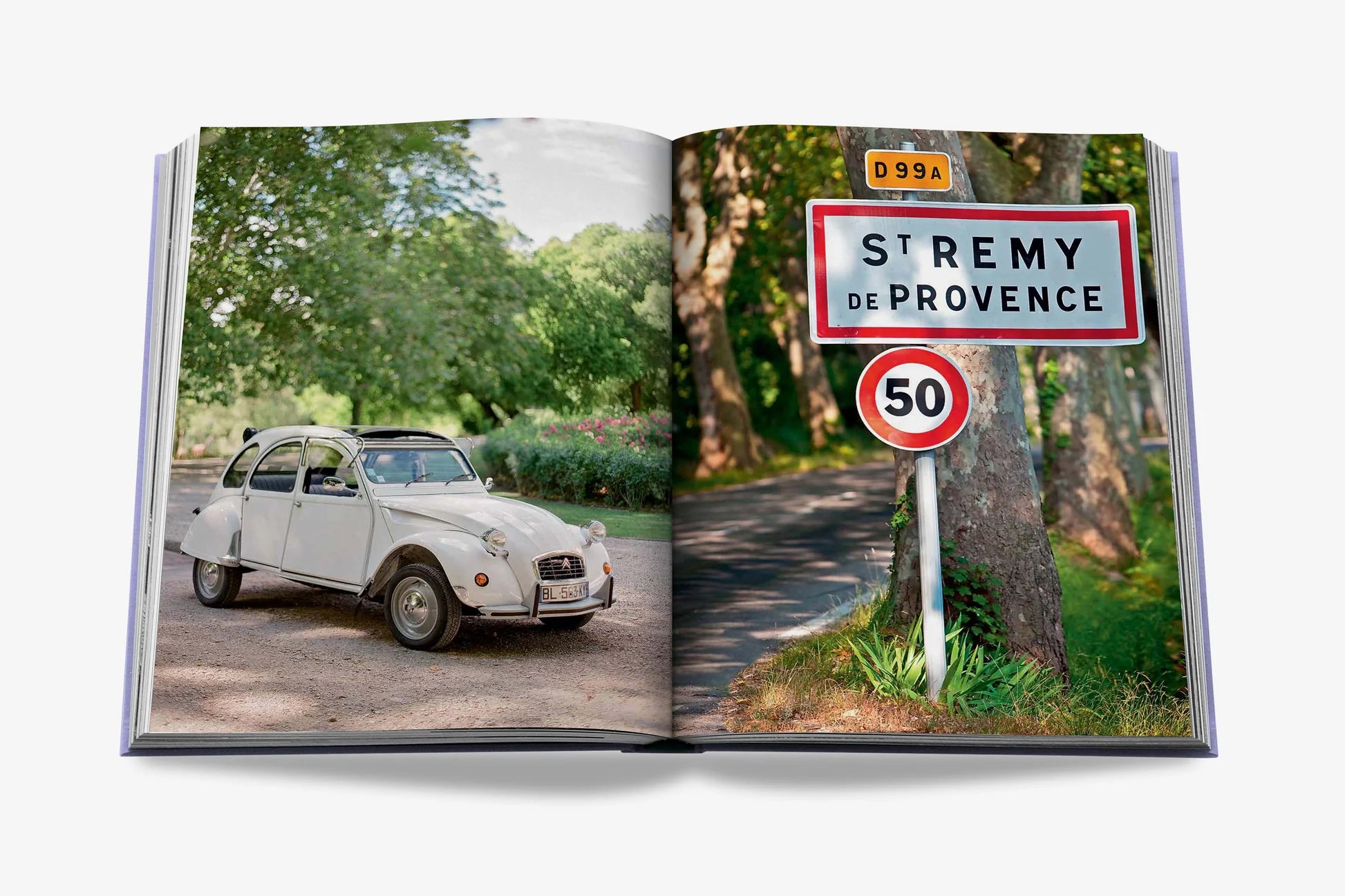 ASSOULINE Provence Glory