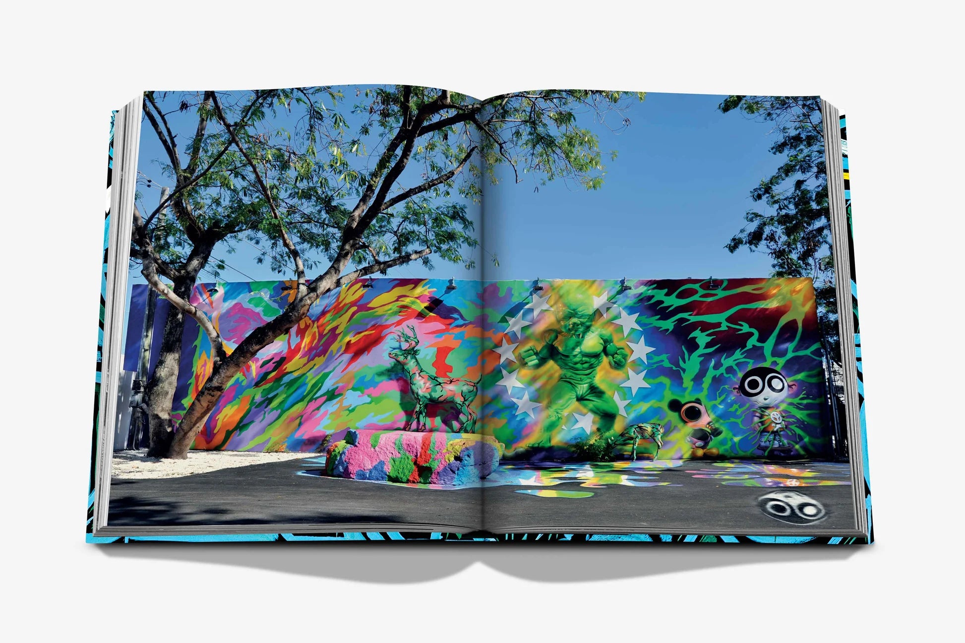 ASSOULINE Street Art Icons: The Story of Wynwood Walls