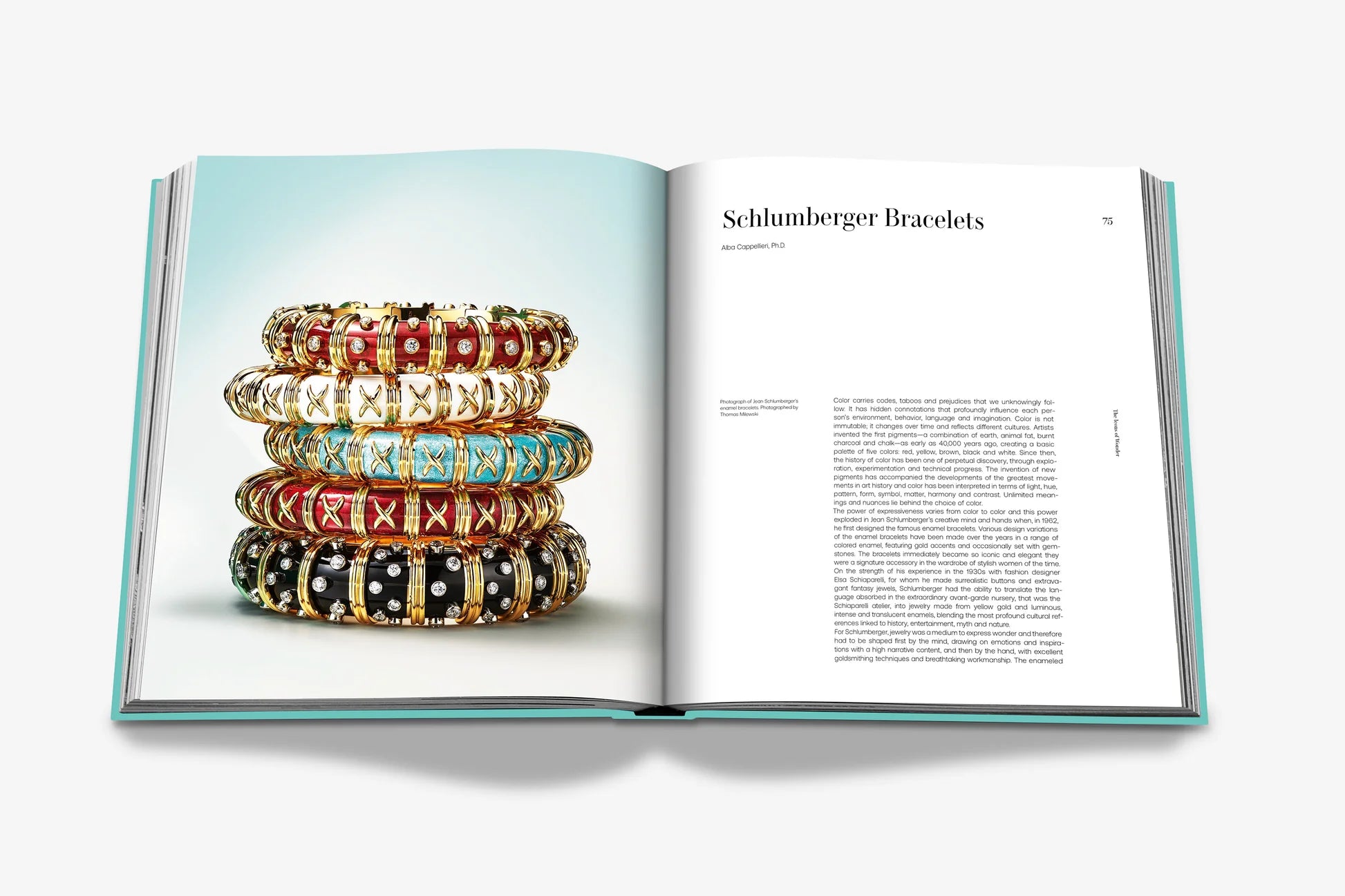 ASSOULINE Tiffany &amp; Co.: The Landmark