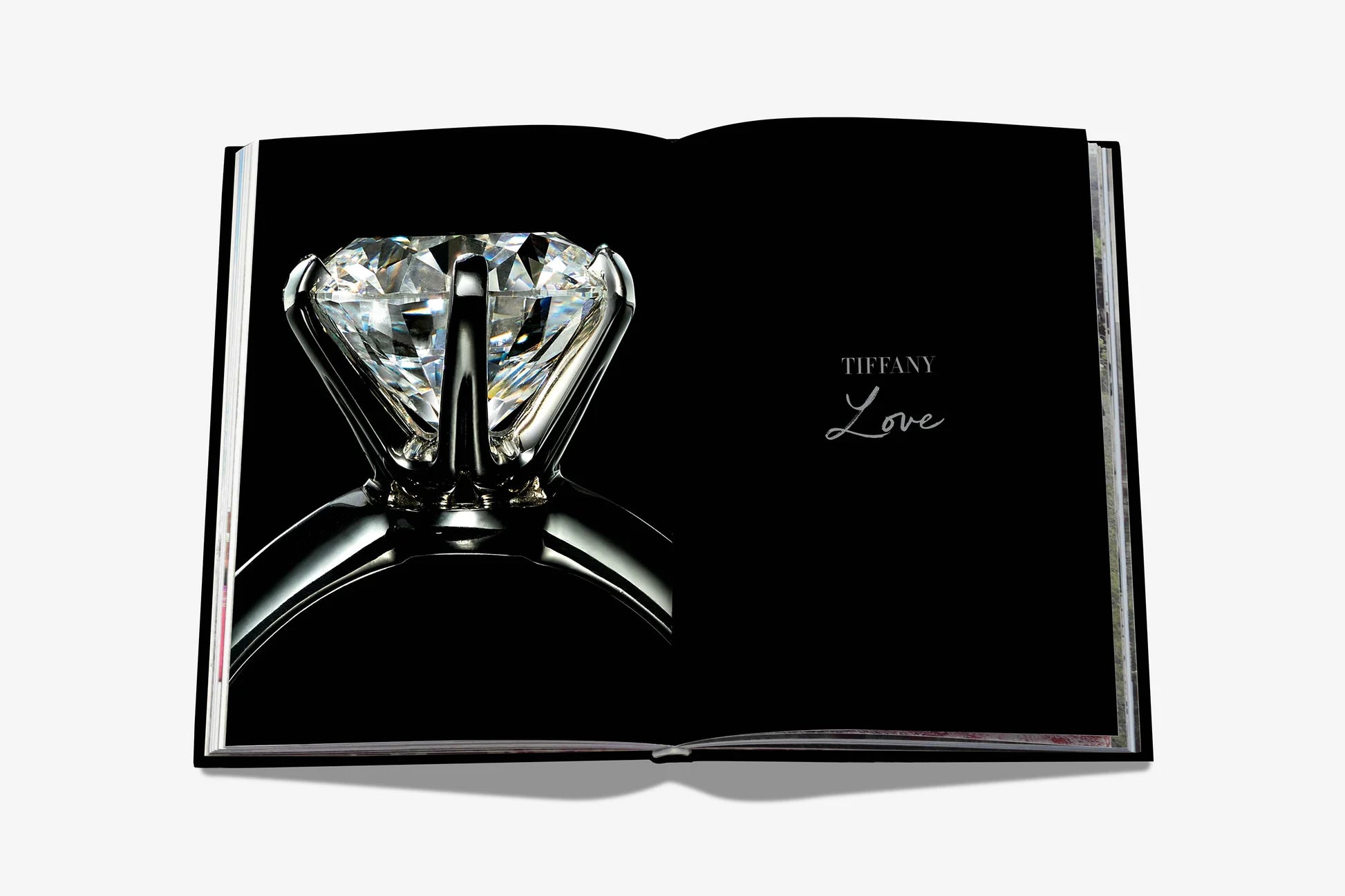 ASSOULINE Tiffany &amp; Co. Vision og virtuositet (Icon Edition)