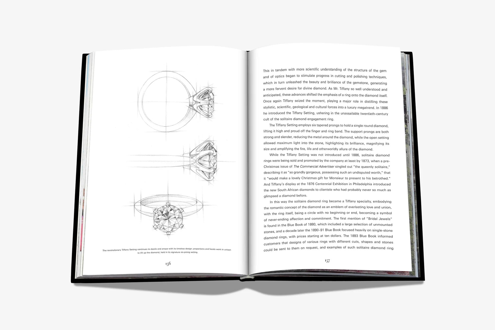 ASSOULINE Tiffany &amp; Co. Vision og virtuositet (Icon Edition)