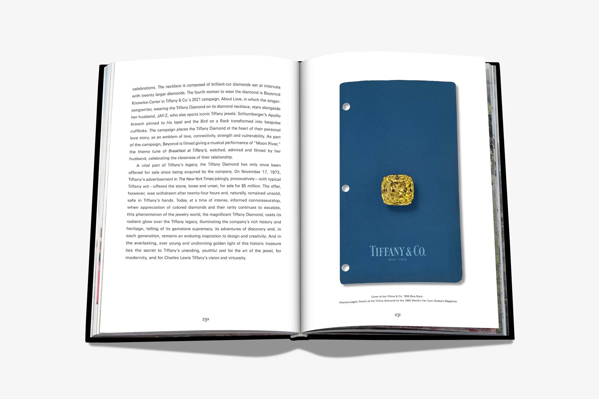 ASSOULINE Tiffany &amp; Co. Vision og virtuositet (Icon Edition)