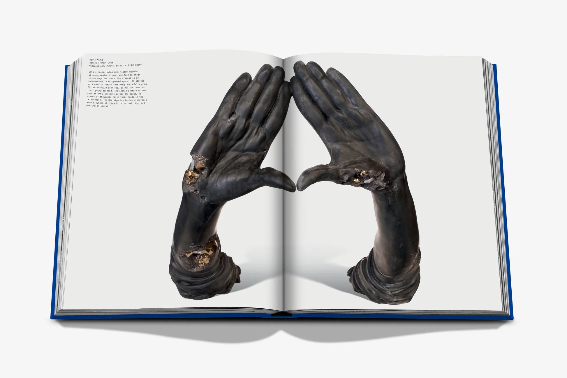 ASSOULINE The Book of HOV: A Tribute to Jay-Z (klassisk)