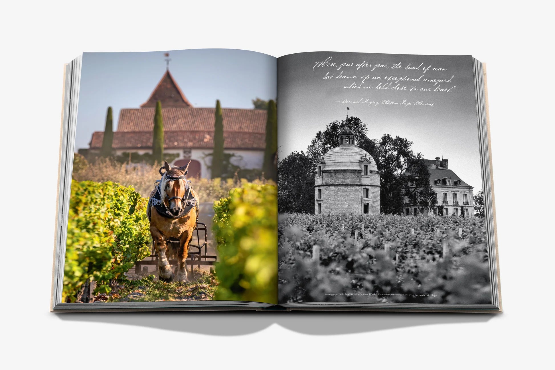 ASSOULINE Vin &amp; Rejser Frankrig