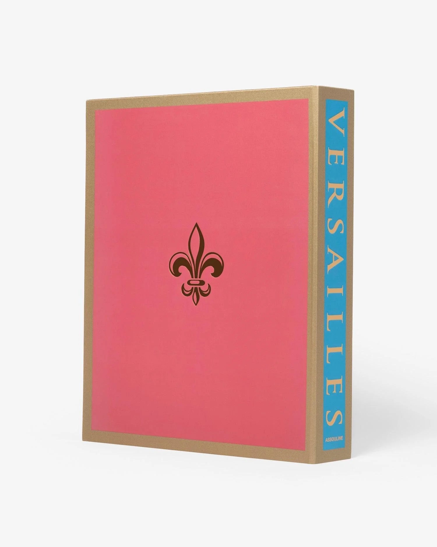 ASSOULINE Versailles: Fra Louis XIV til Jeff Koons